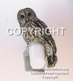 BarredOwl