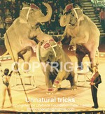 CIRCUS2