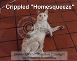 Crippled_Homesqueeze