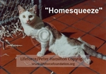 HOMESQUEEZE_FIRST_C