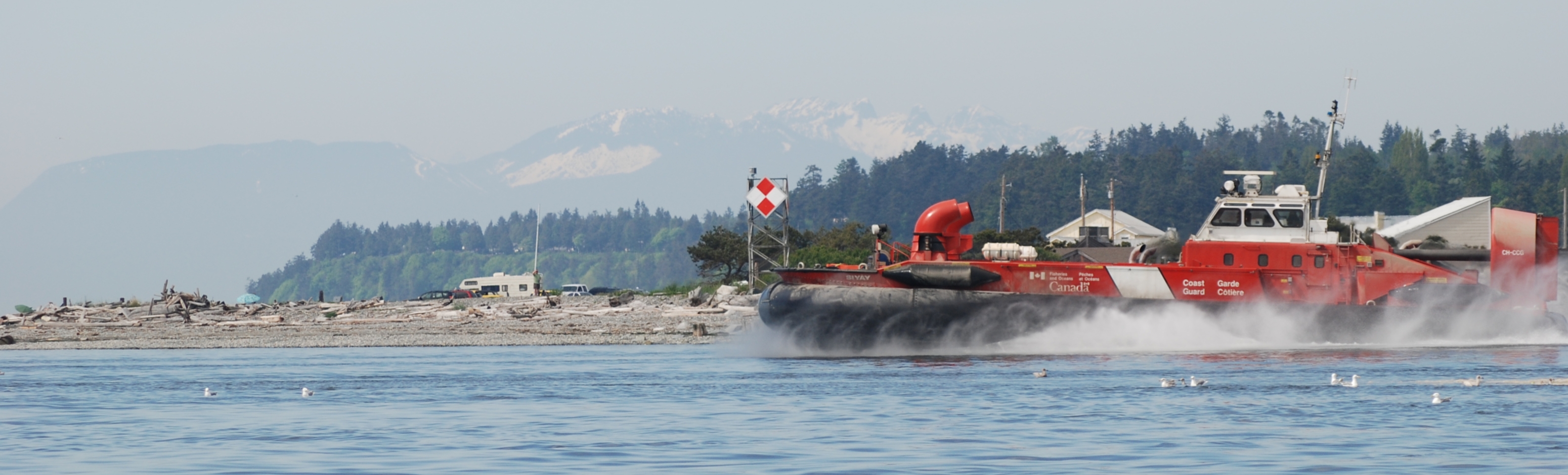 Coast Guard Criticized For Disturbing Porpoises