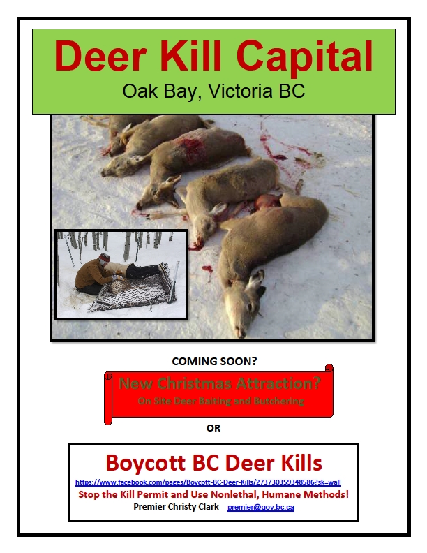 Deer Killing Capital Bc! Oak Bay, Central Sanich, Elkford And Kimberley!