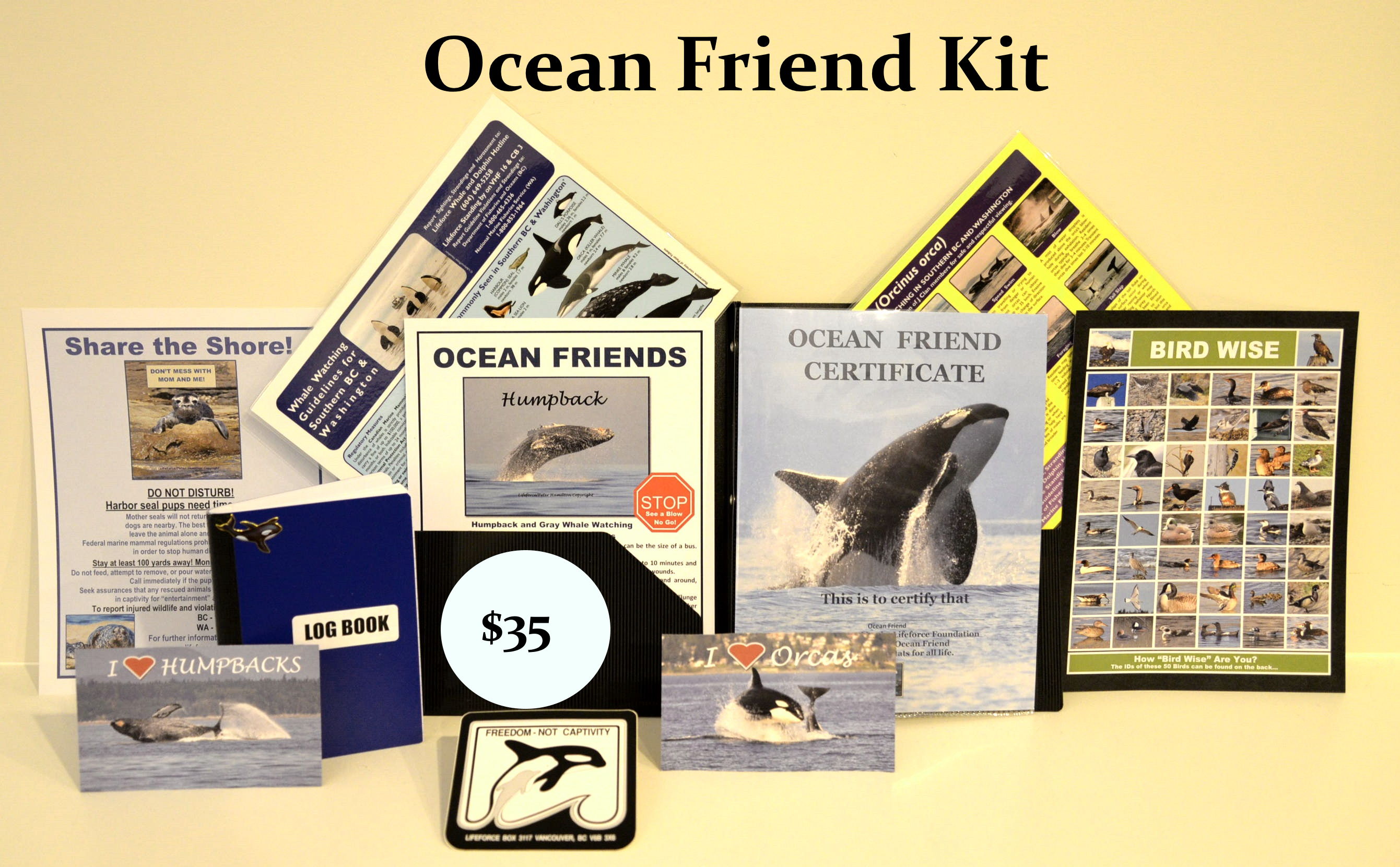 Be An Orca Friend All Year! Help Lifeforce Help Orcas!