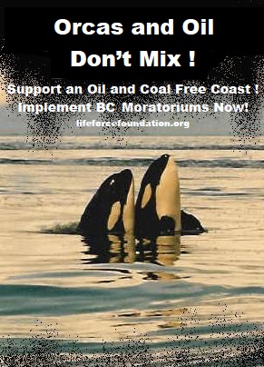 Enact The Emergency Order To Save Orcas And Oceans!