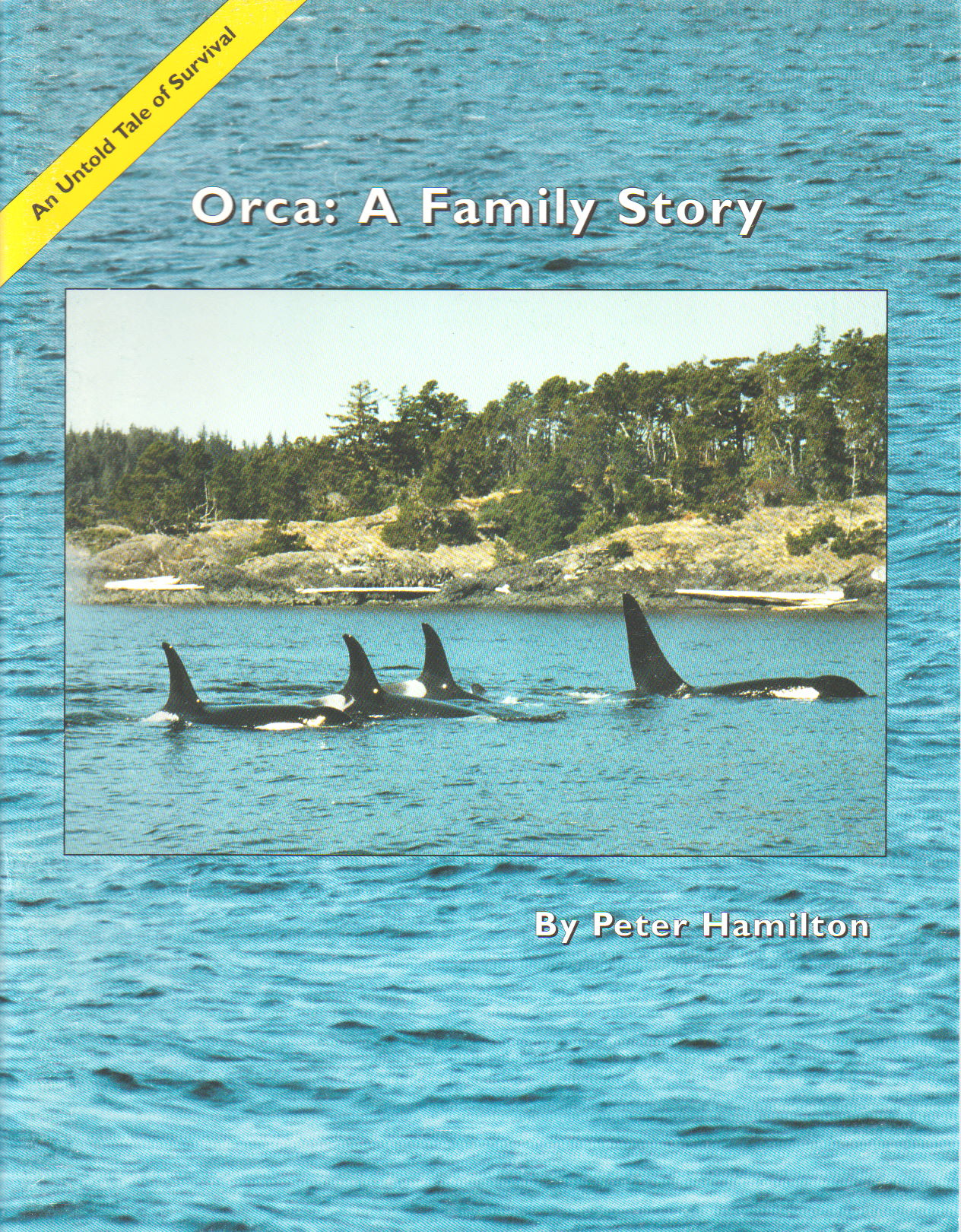 Help Celebrate Orca Action Month! June 2020!