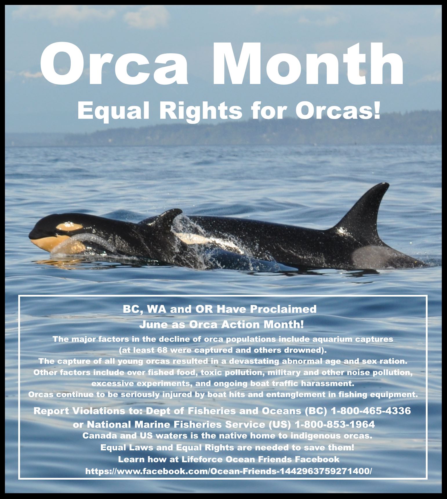 June 7th Update: Orca Action Month