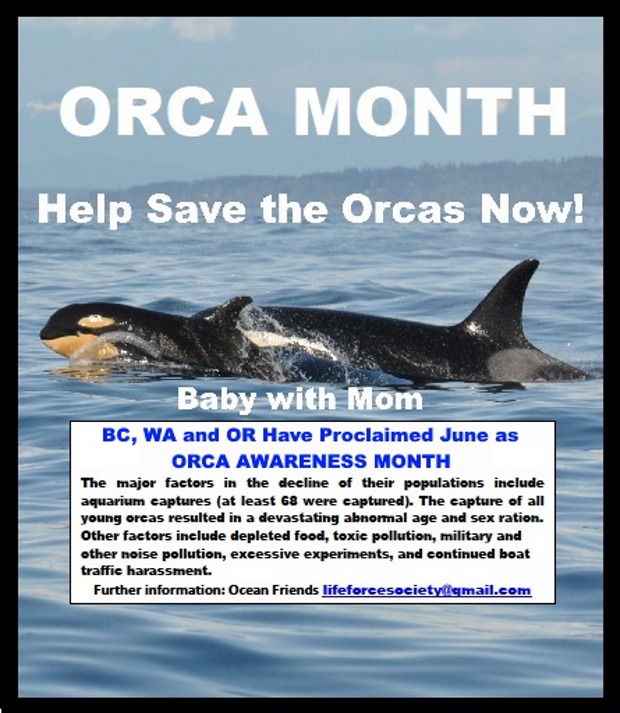 Orca Awareness Month! June 2019!