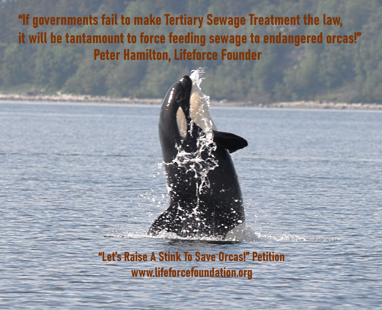 Stop The Comox Valley Sewage Commission Pollution Plans!