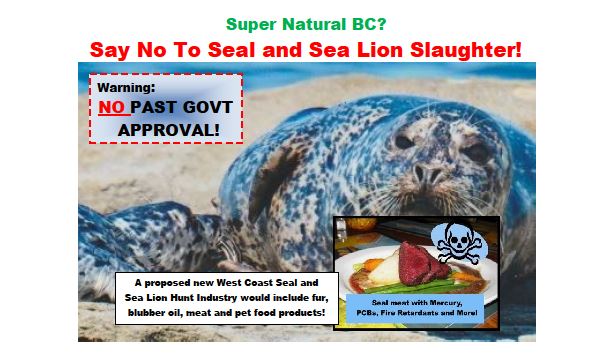 Say No To Seal And Sea Lion Slaughter!