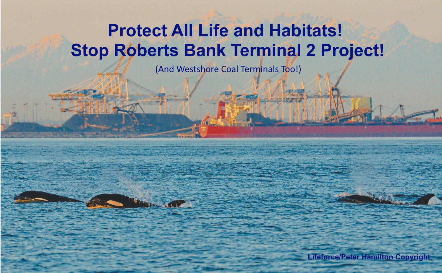 Hoping For The End Of Roberts Bank Terminal 2 Expansion!