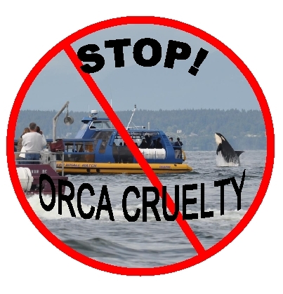 New Petition To Stop! Orca Cruelty