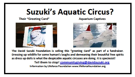 Suzukis Aquatic Circus?