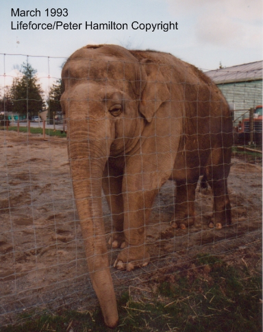 Greater Vancouver Zoo Video