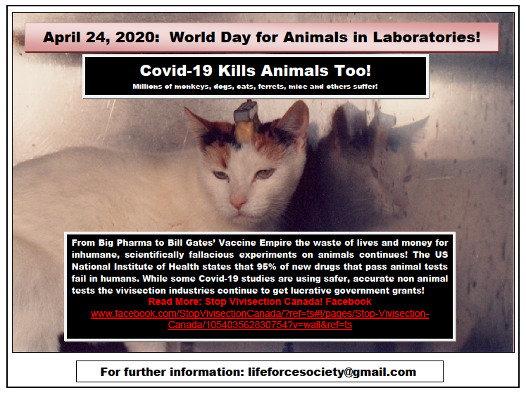 World Day For Animals In Laboratories April 24th, 2020