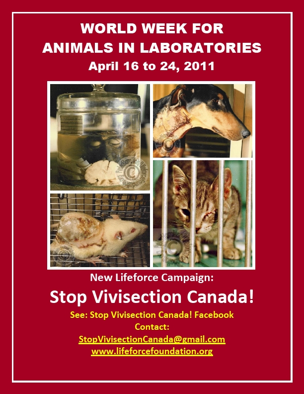 2011 World Week To End Vivisection