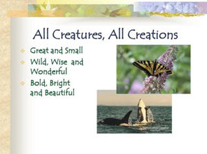 All Creatures, All Creations - An Online Nature Photography Book